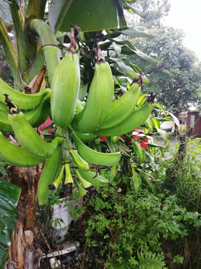 Monteverde Ecolove Luaran gambar